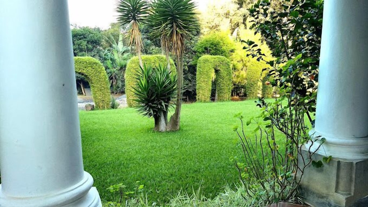 Photo of Outdoor in Santa Ana