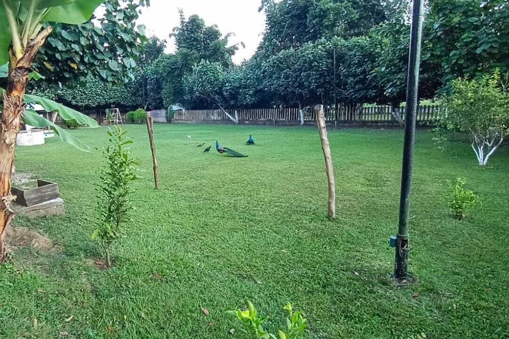 Photo of Outdoor in Ocosingo