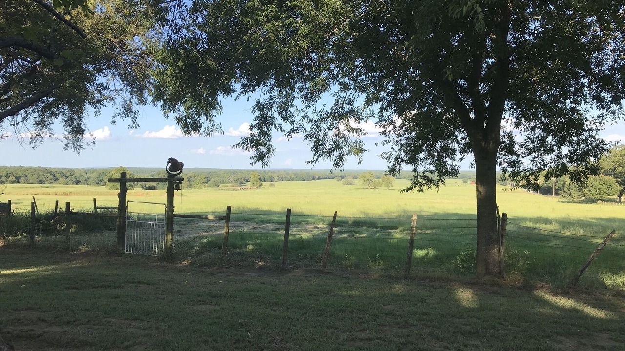 Photo of Outdoor in Antlers