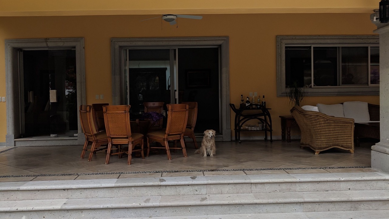 Photo of Outdoor in Cuernavaca