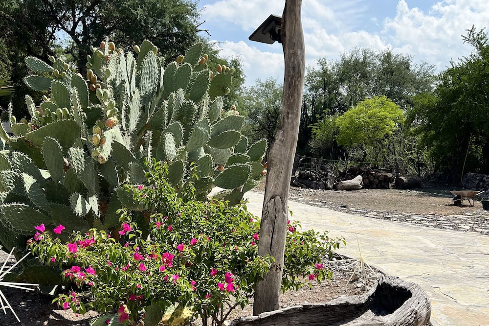Photo of Outdoor in San Ciro de Acosta