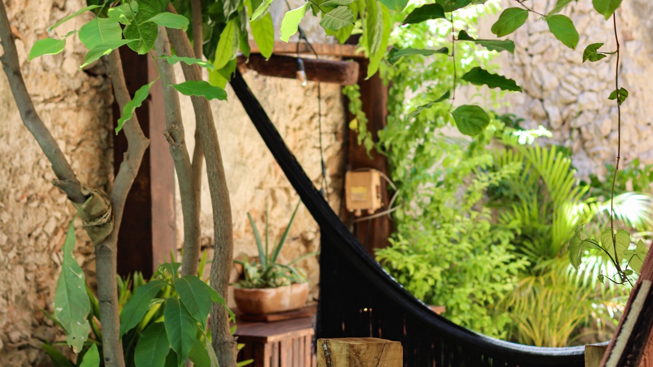Photo of Outdoor in Centro
