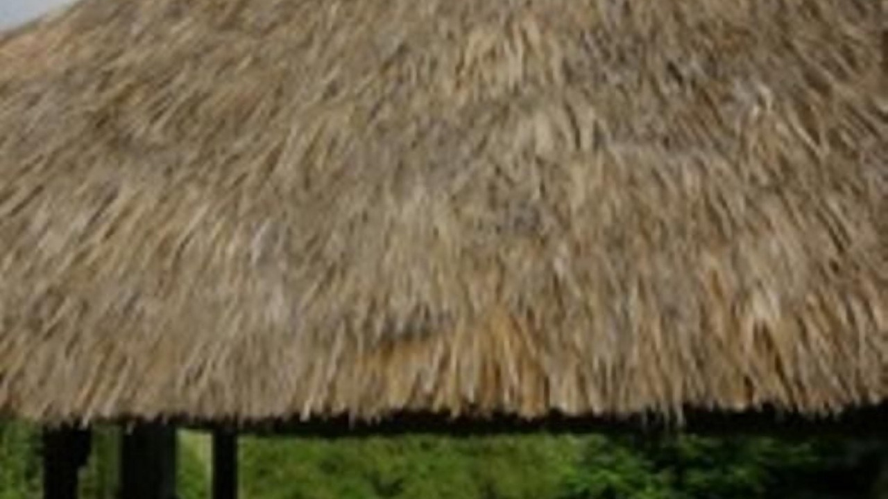 Photo of Outdoor in Puerto Escondido