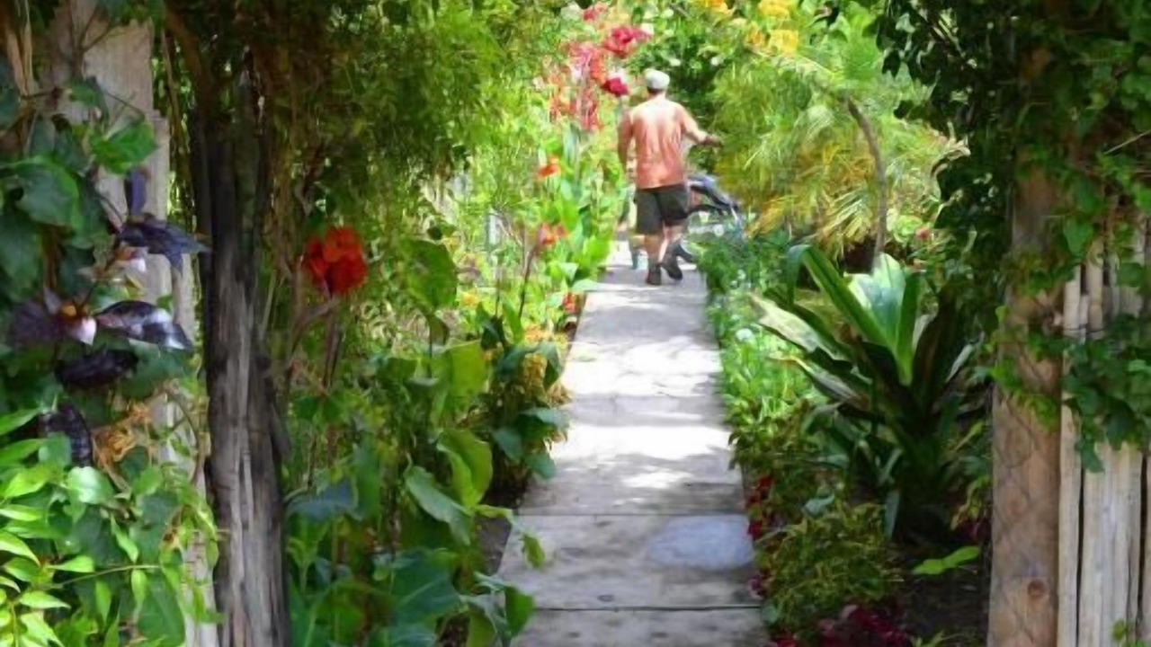 Photo of Outdoor in San Pedro La Laguna