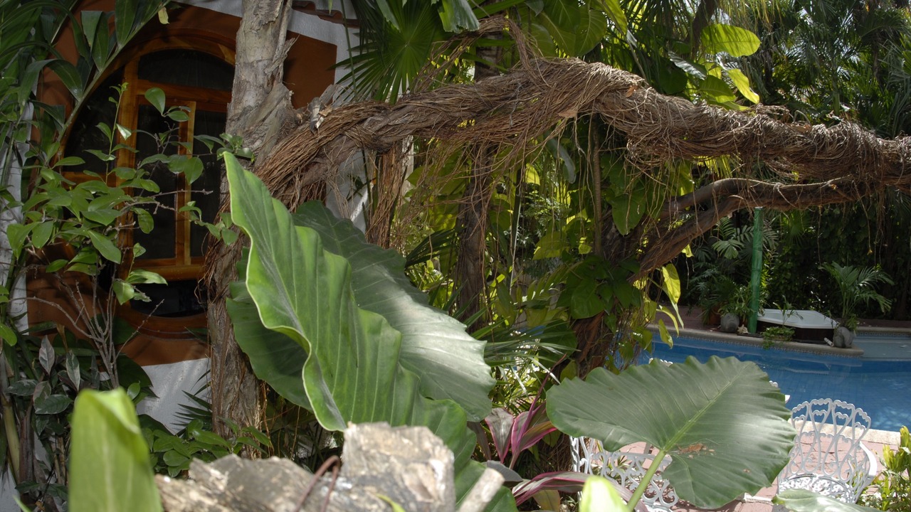 Photo of Others in Downtown Cancun