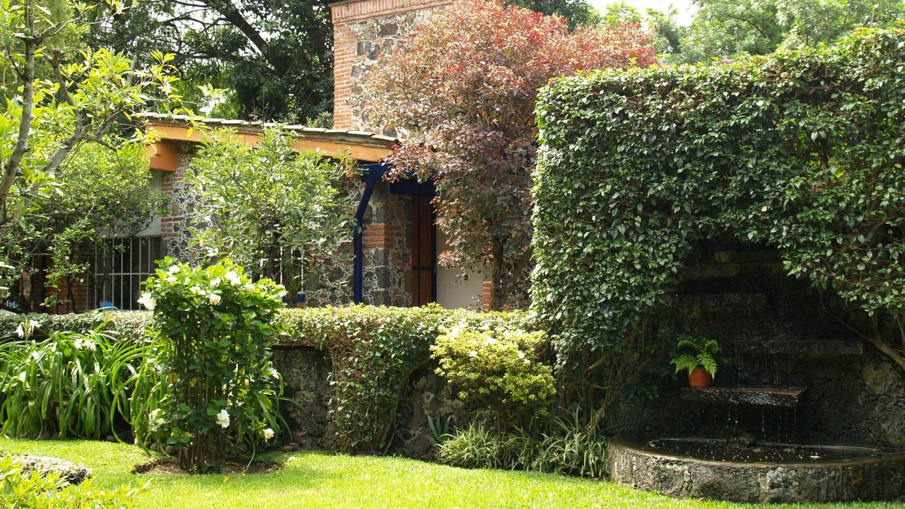 Photo of Outdoor in Valle de Atongo