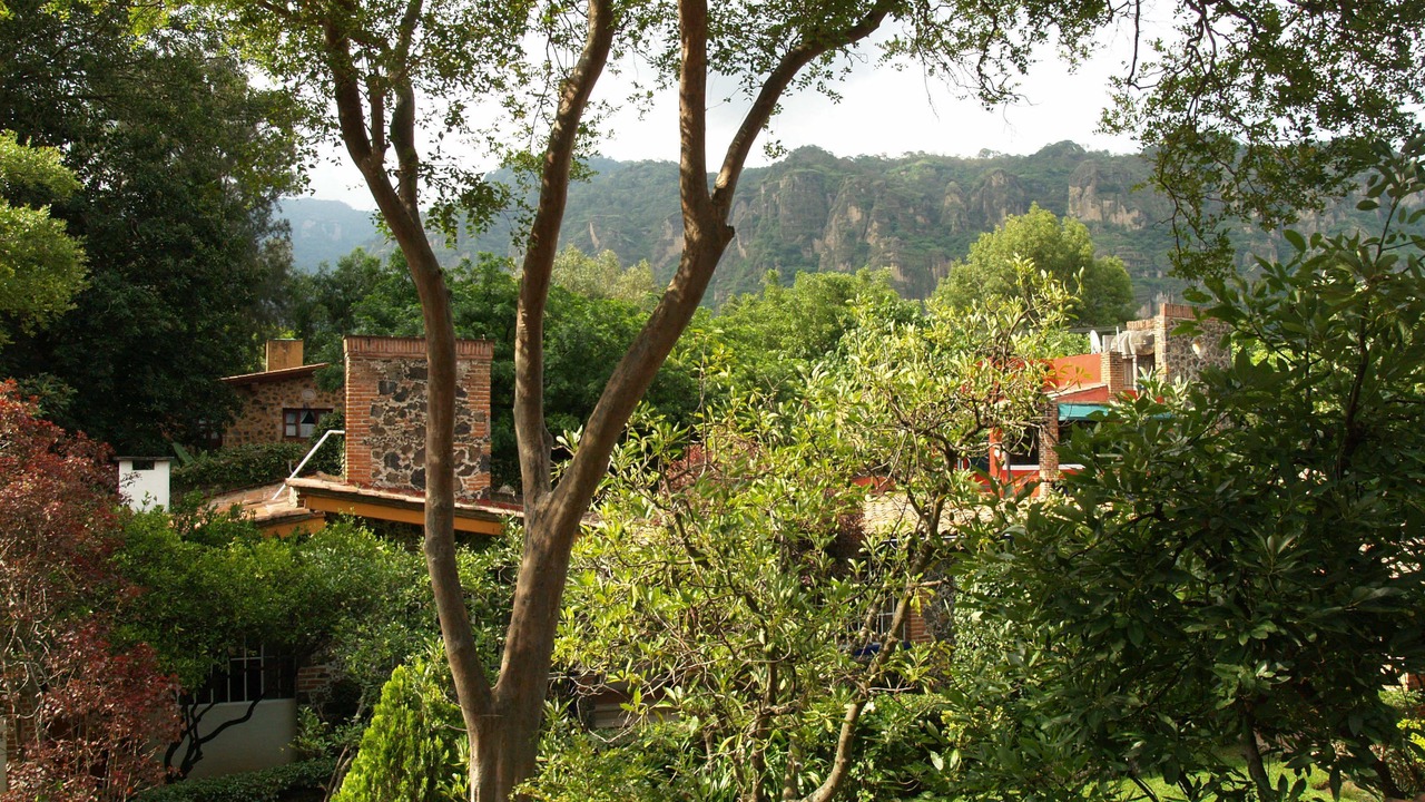 Photo of Outdoor in Valle de Atongo