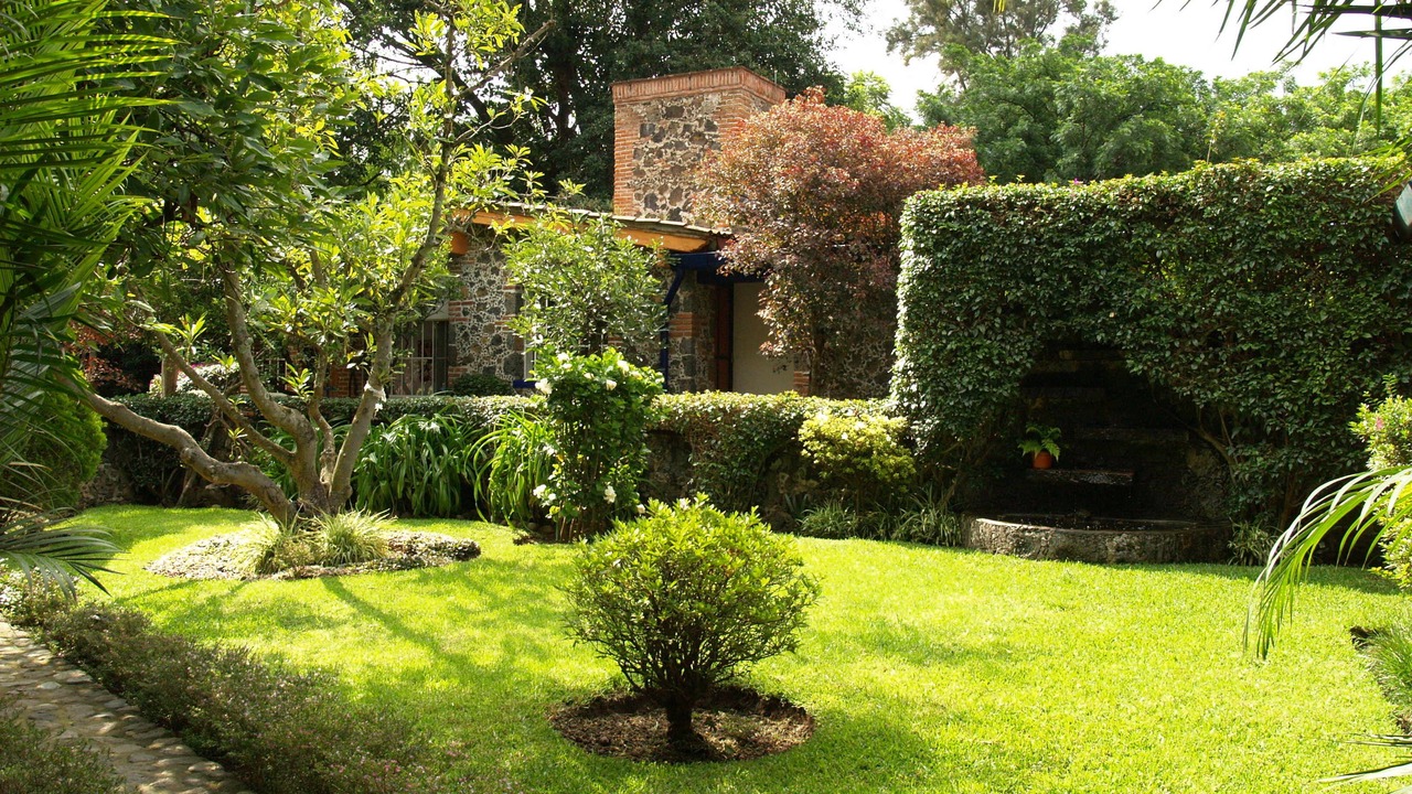 Photo of Outdoor in Valle de Atongo