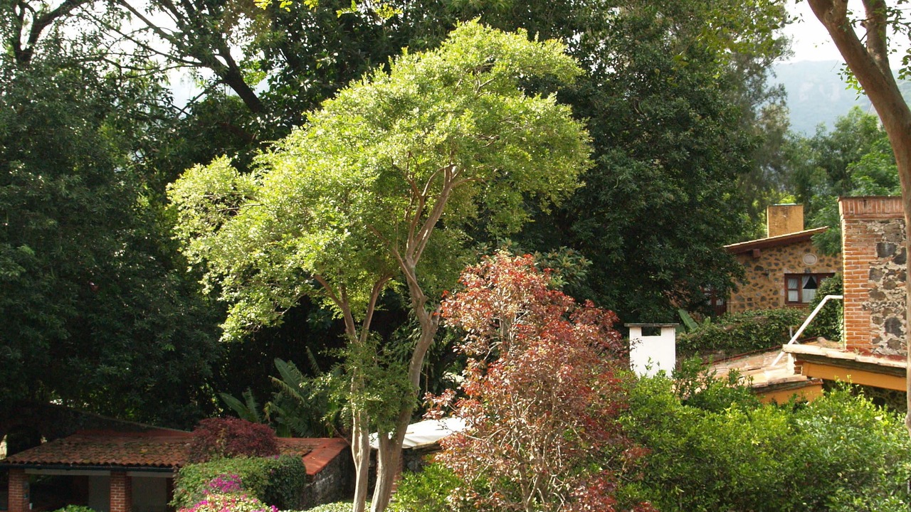 Photo of Outdoor in Valle de Atongo