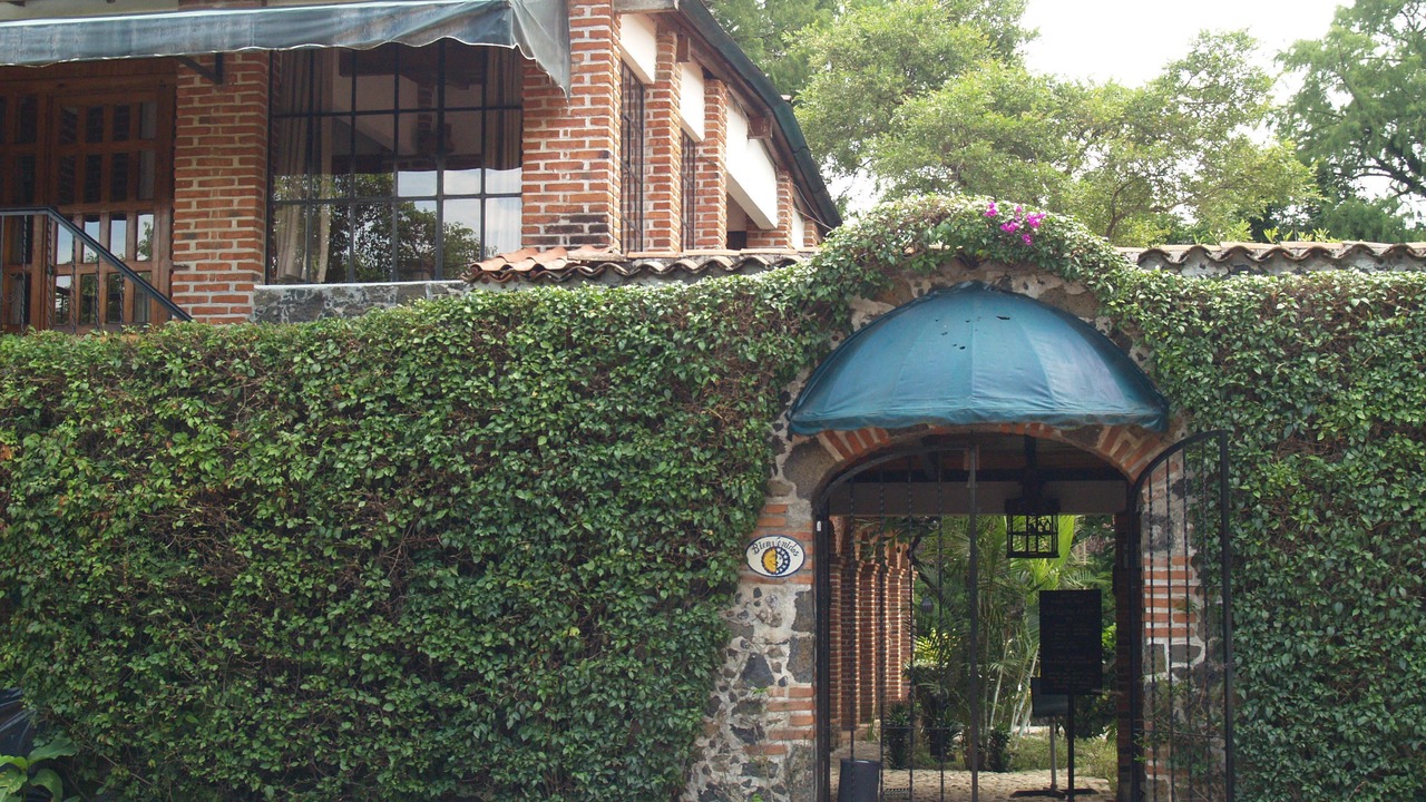 Photo of Outdoor in Valle de Atongo