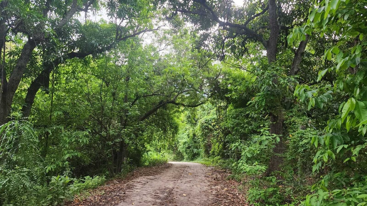 Photo of Outdoor in Tequila