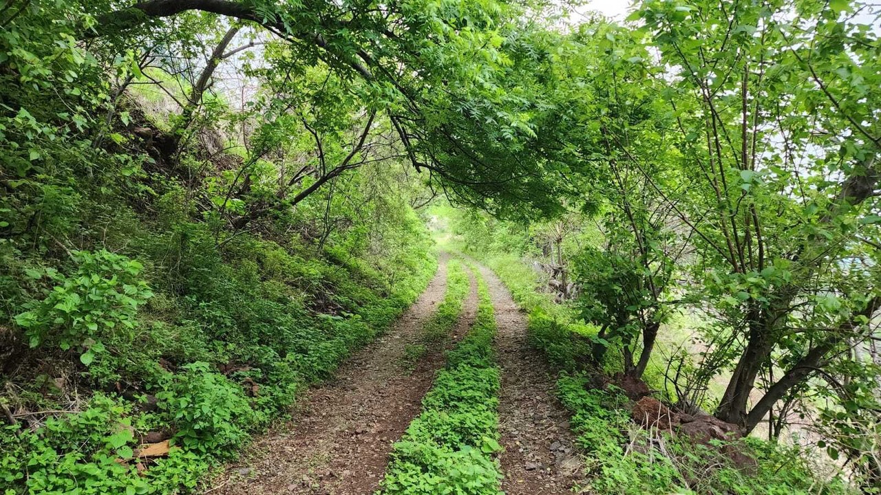 Photo of Outdoor in Tequila