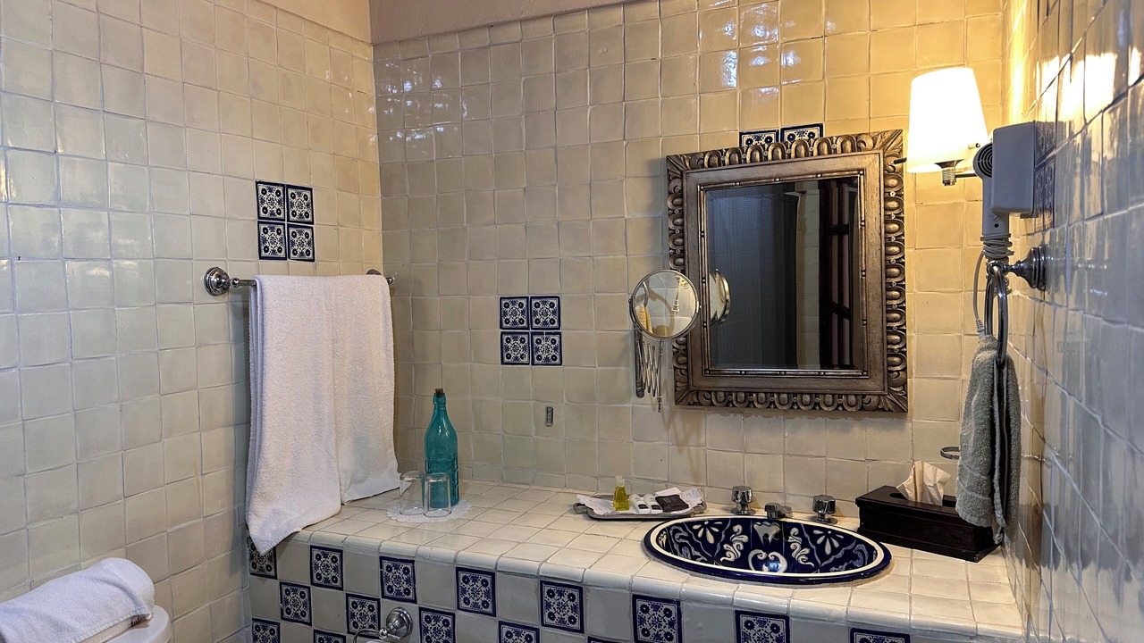 Photo of Bathroom in Mascota