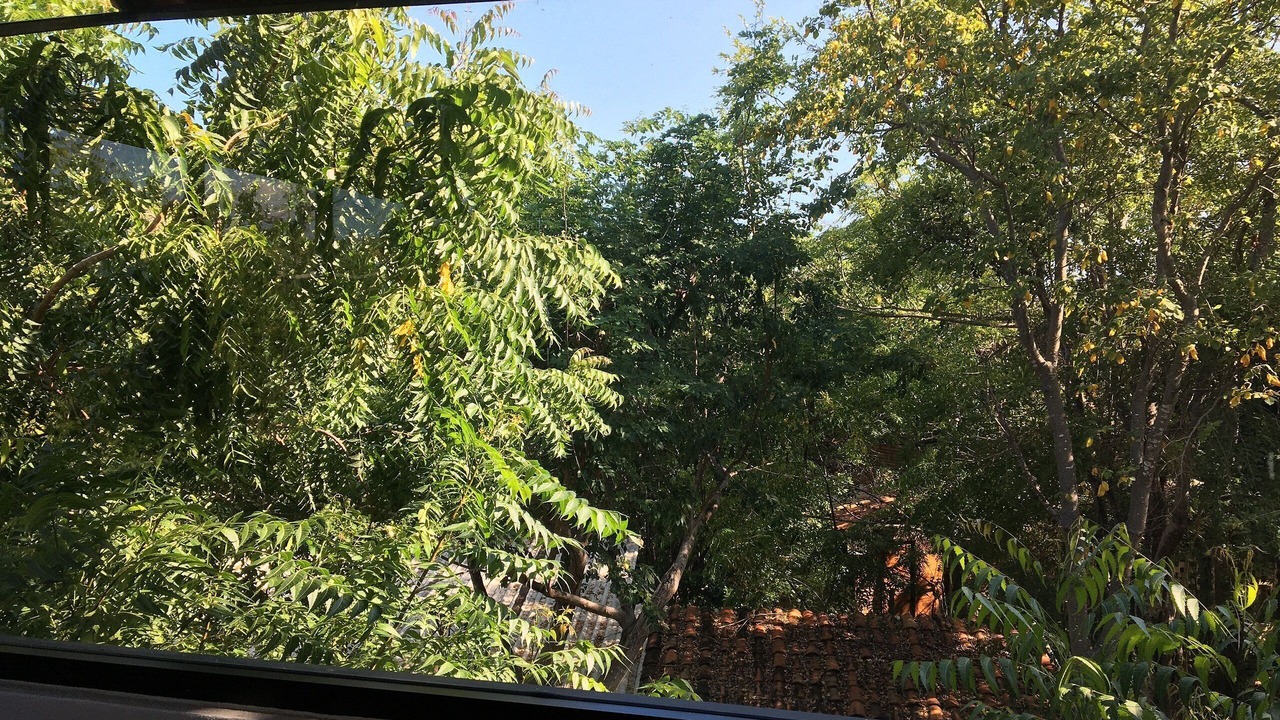 Photo of Outdoor in Salchi