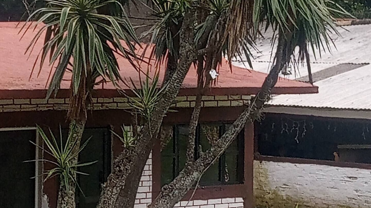 Photo of Outdoor in Rio Blanco