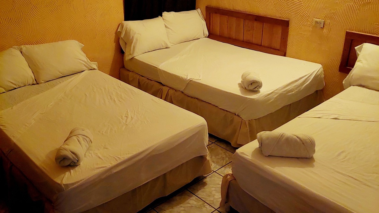 Photo of Bedroom in Flores