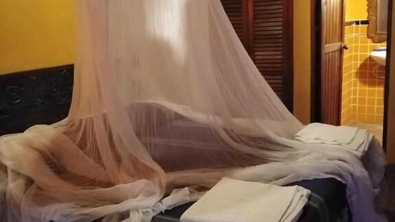 Photo of Bedroom in Monterrico