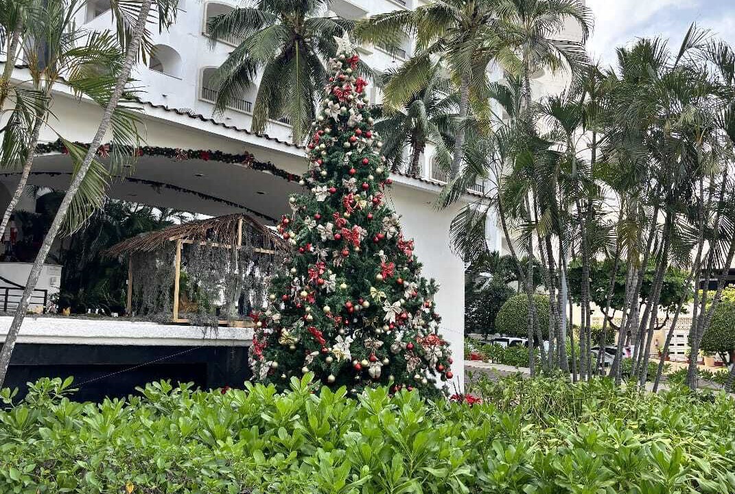 Photo of Outdoor in Ixtapa