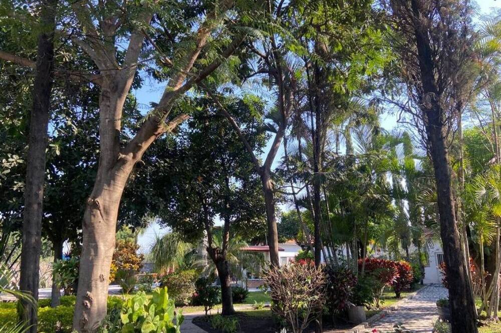 Photo of Others in Cuautla