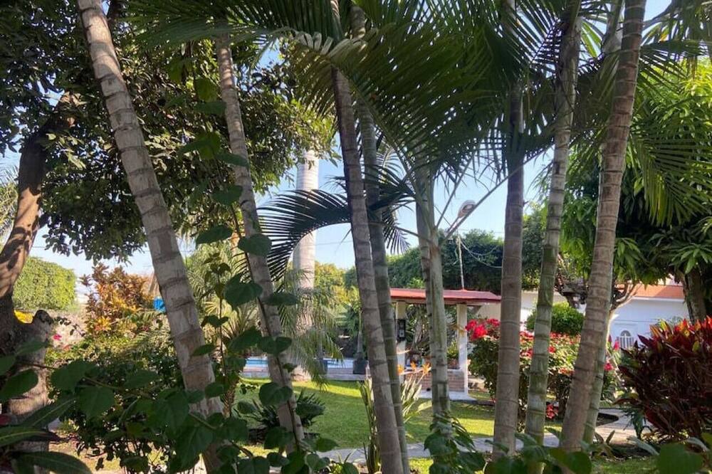 Photo of Others in Cuautla