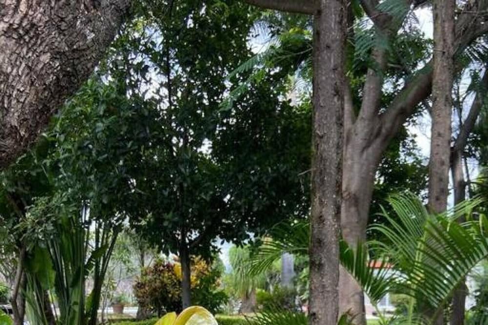 Photo of Others in Cuautla