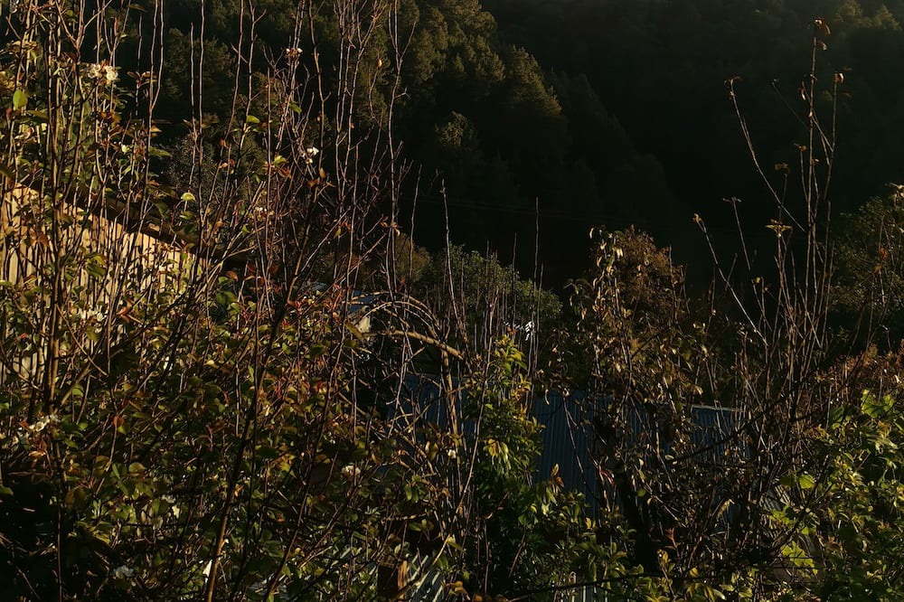 Photo of Outdoor in San Sebastian Rio Hondo