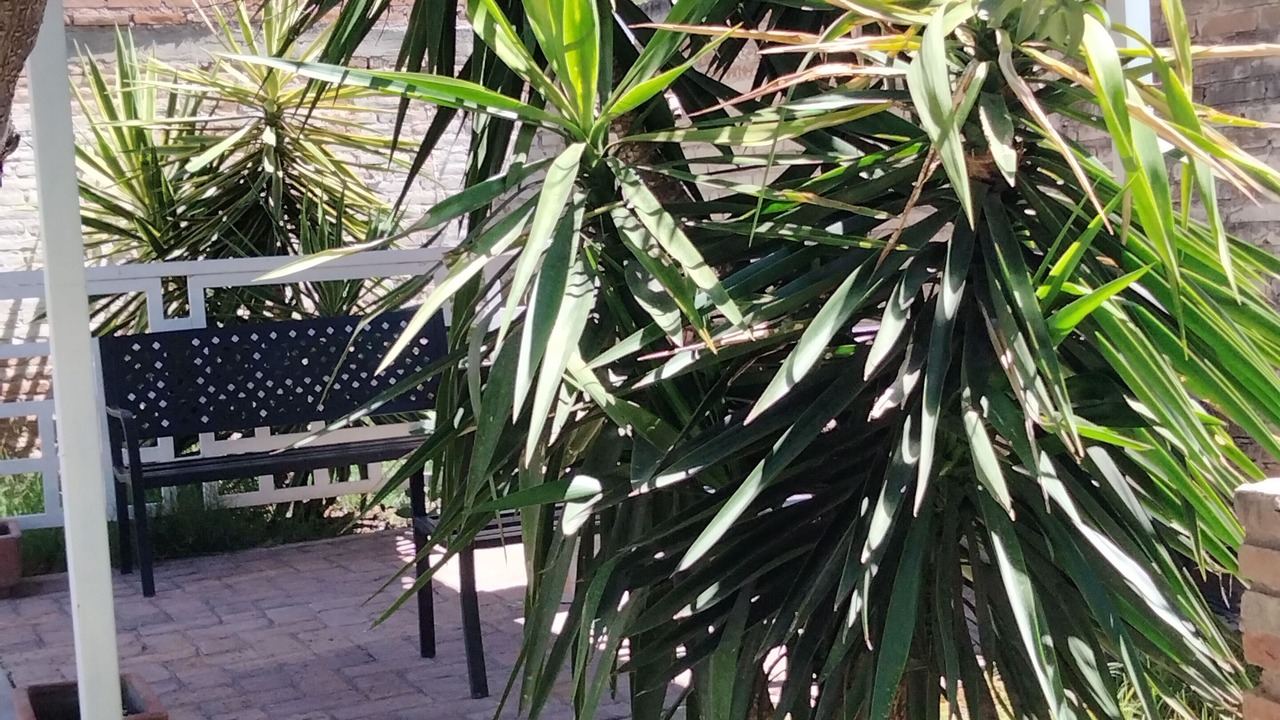 Photo of Outdoor in Durango