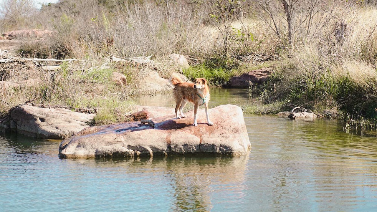 Photo of Outdoor in Llano