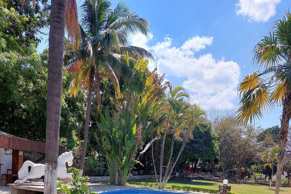 Photo of Outdoor in Yautepec
