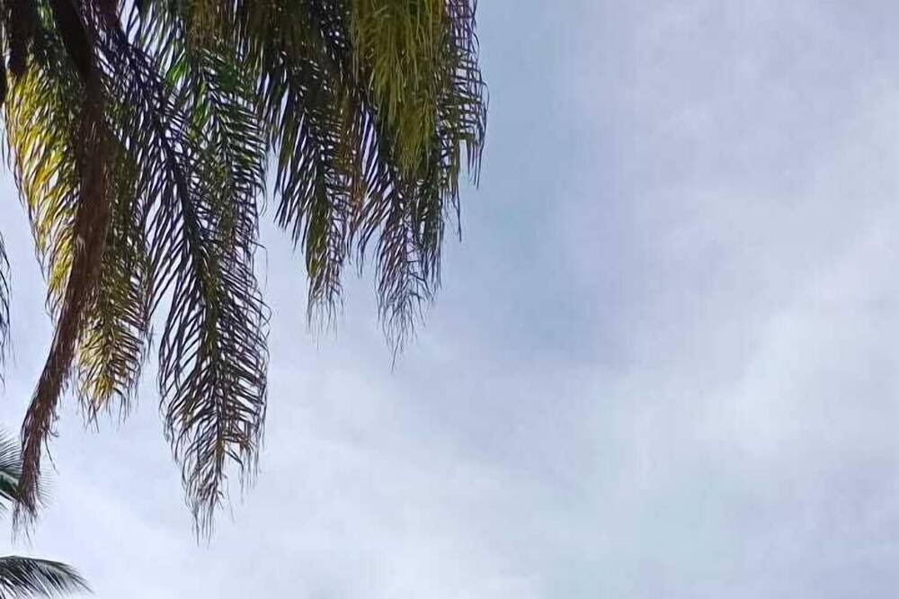 Photo of Outdoor in Yautepec