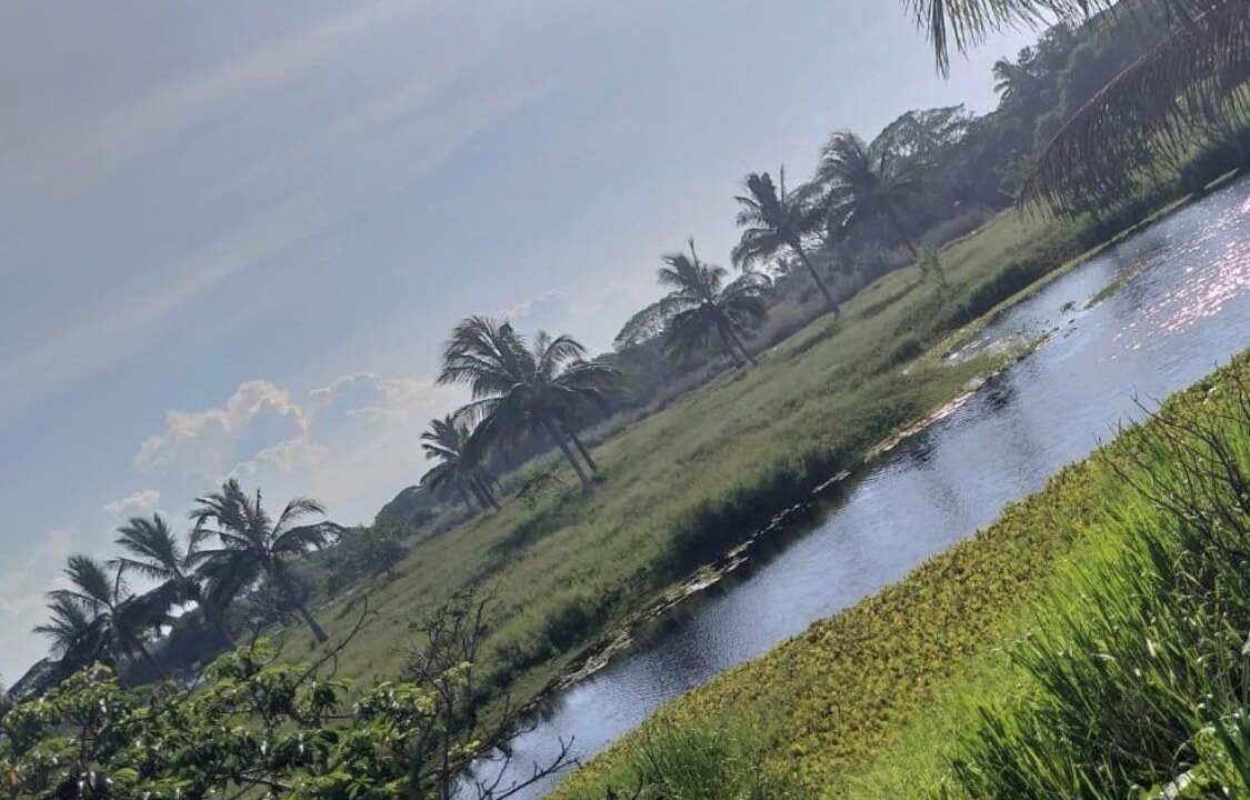 Photo of Others in Tecolutla