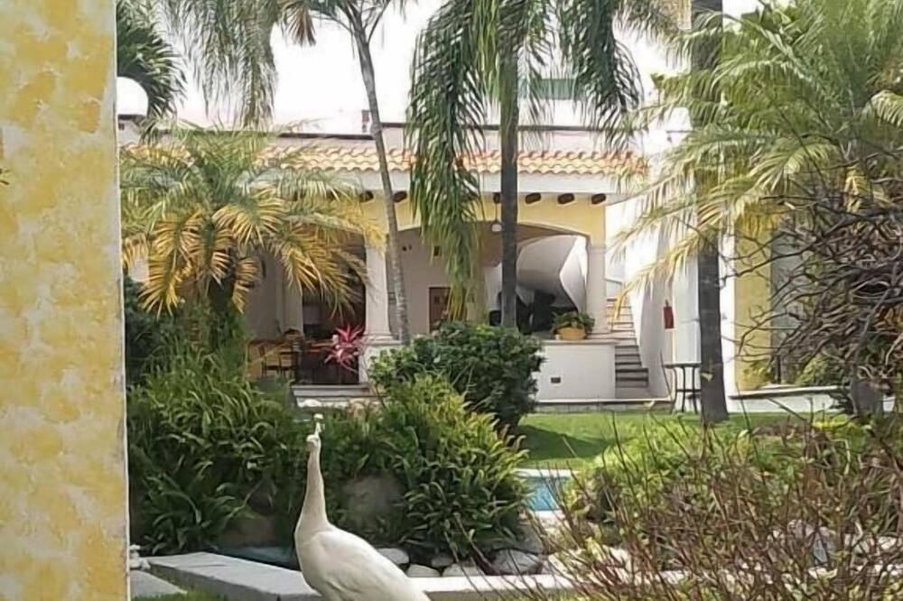 Photo of Outdoor in Central Cuernavaca