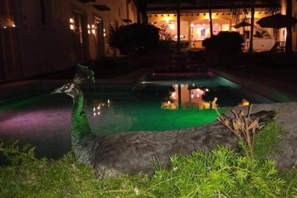 Photo of Outdoor in Central Cuernavaca