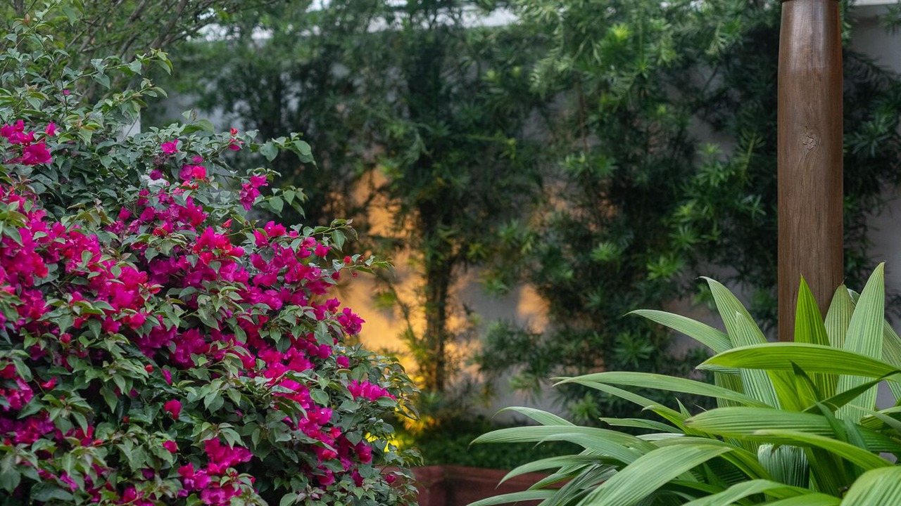 Photo of Others in Antigua Guatemala