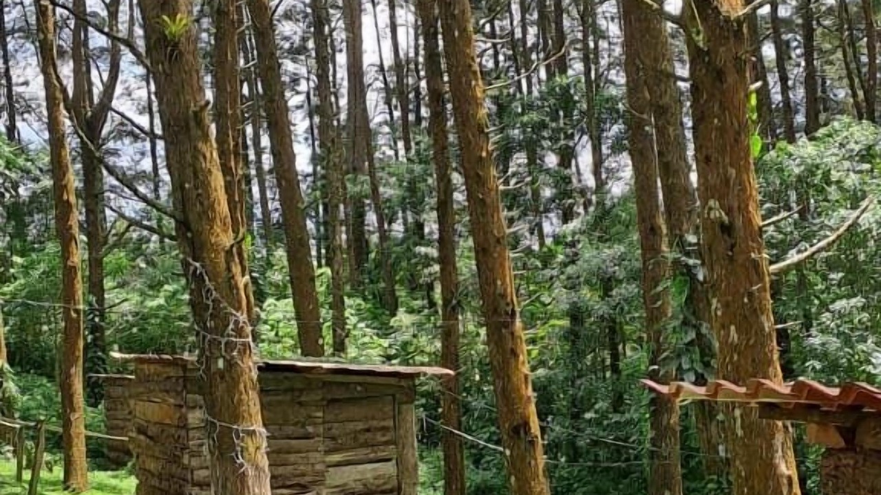 Photo of Outdoor in Guatemala