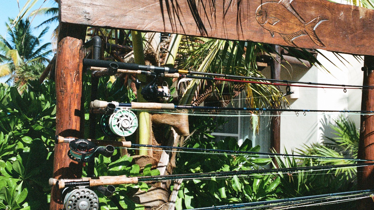 Photo of Outdoor in Punta Allen