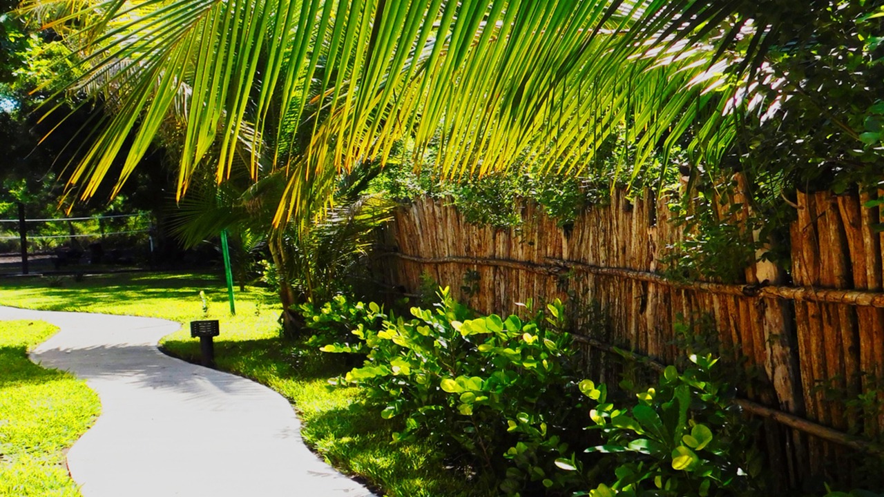 Photo of Bedroom in Monterrico