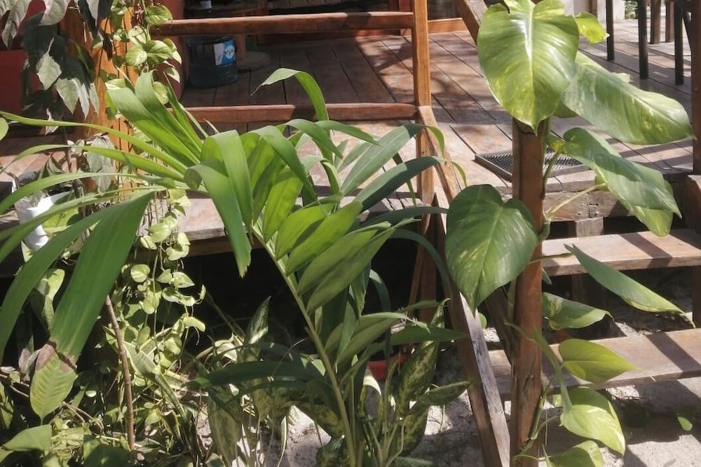 Photo of Livingroom in Isla Aguada