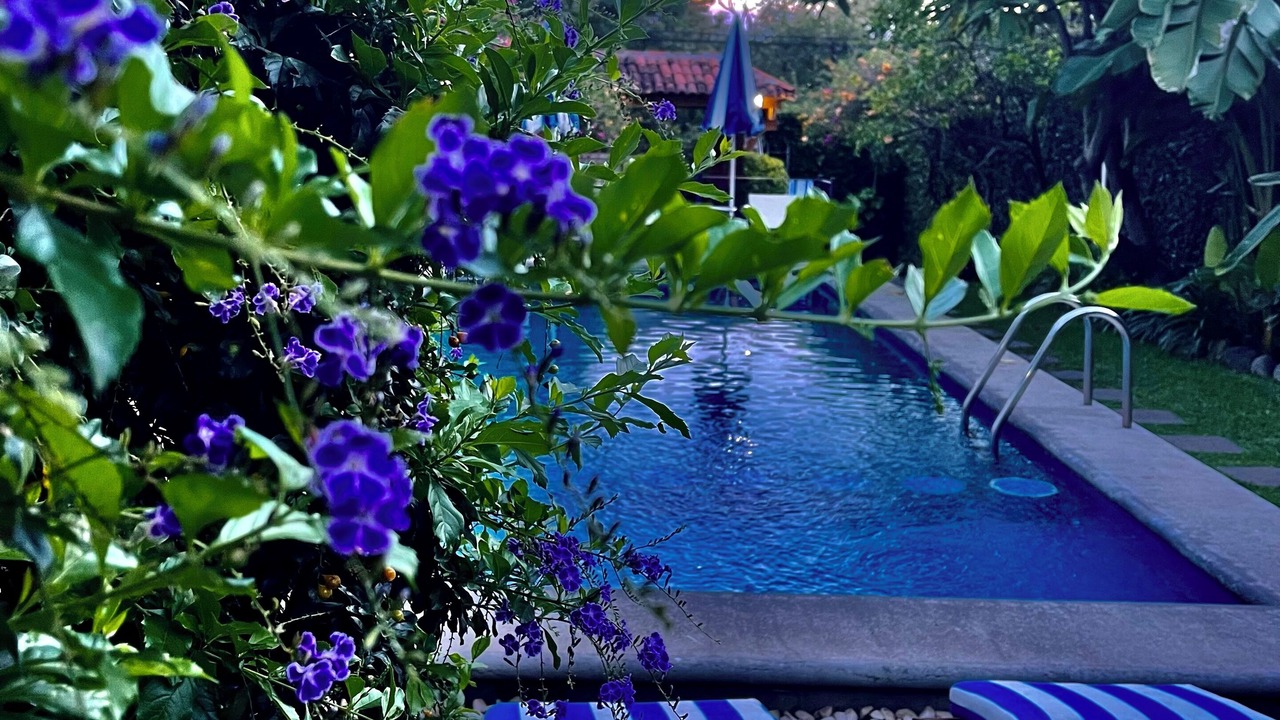 Photo of Outdoor in Santa Maria