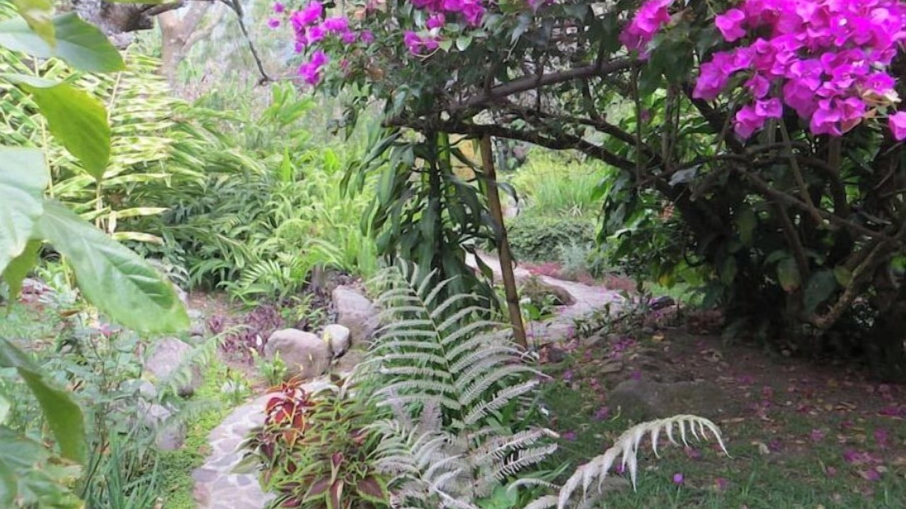 Photo of Outdoor in San Marcos La Laguna