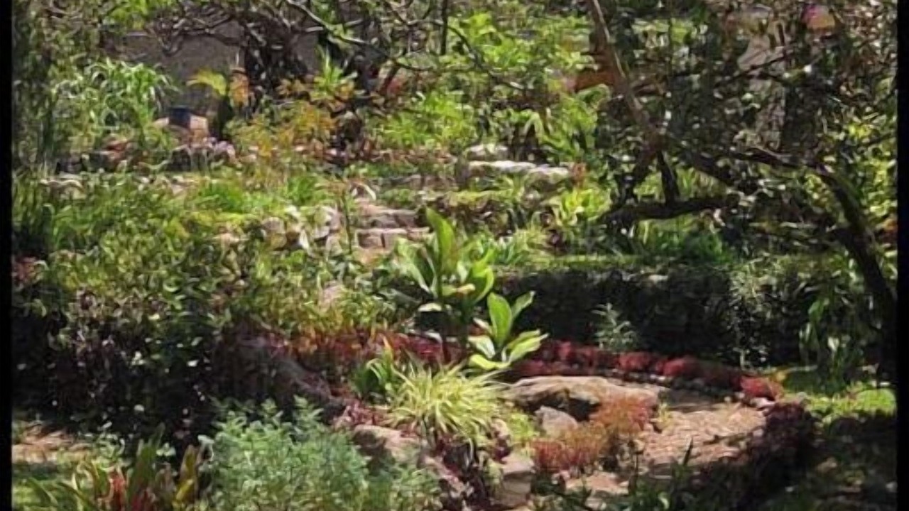 Photo of Outdoor in San Marcos La Laguna