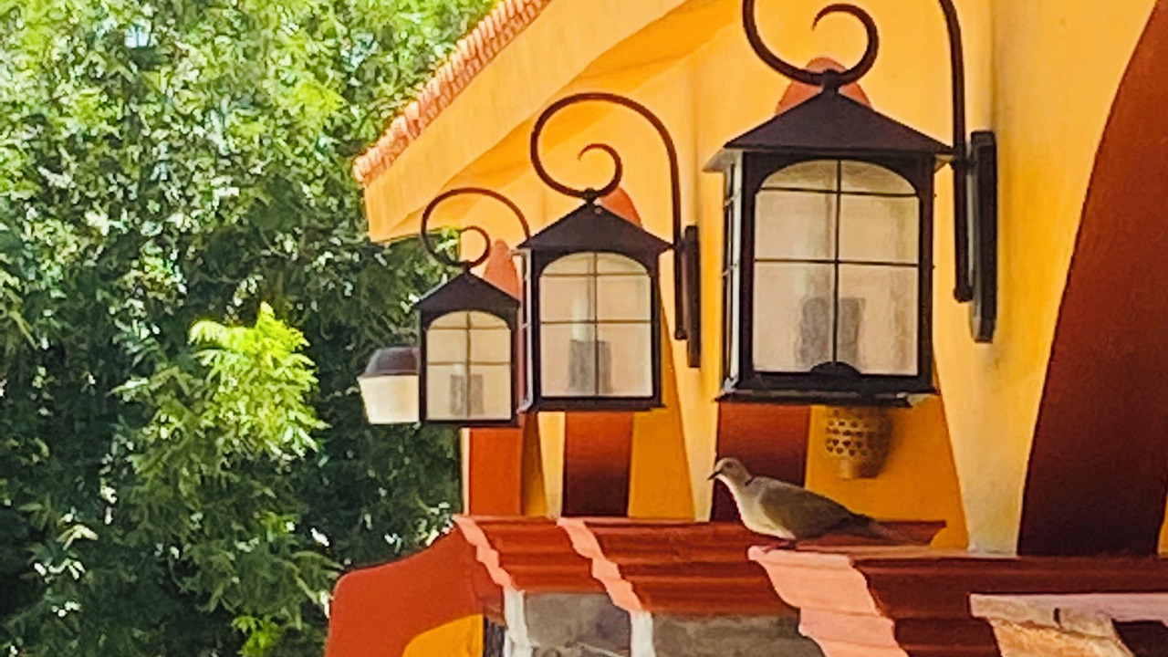 Photo of Outdoor in Cuatrocienegas De Carranza