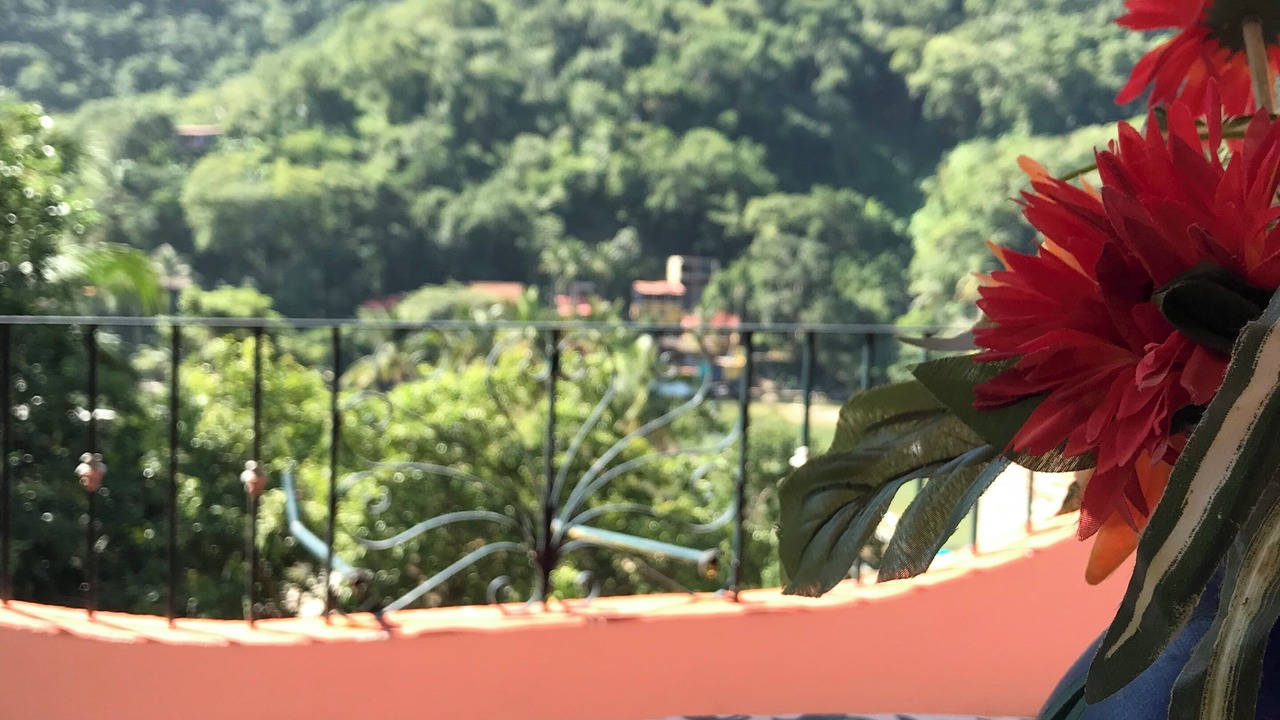 Photo of Patio Balcony in Boca de Tomatlan