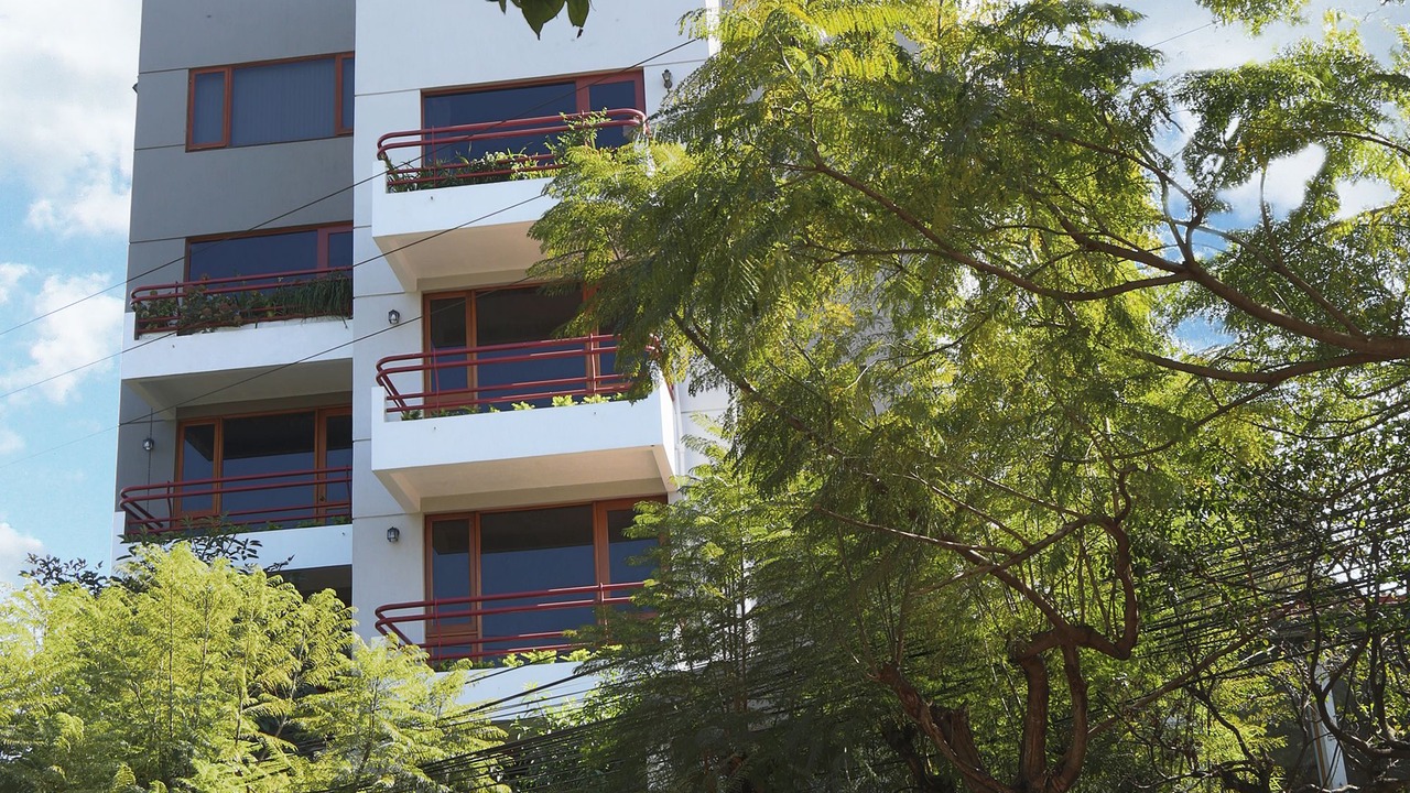 Photo of Outdoor in Zona 9