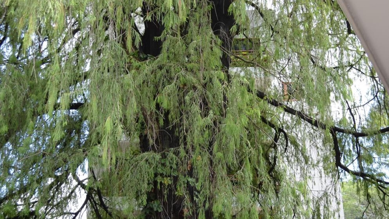 Photo of Outdoor in Zona 9