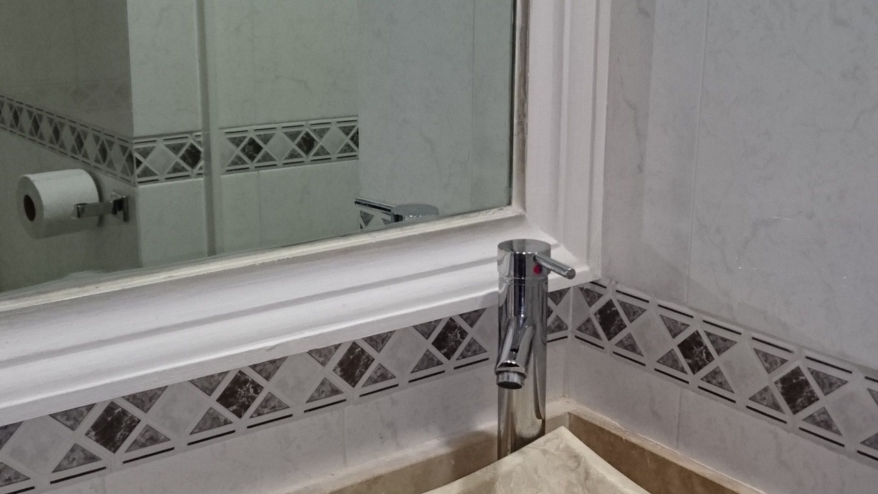 Photo of Bathroom in Torreon