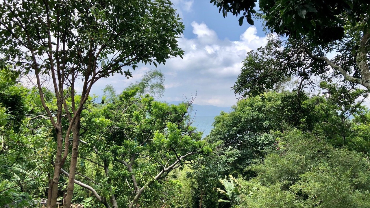 Photo of Outdoor in Santa Cruz La Laguna