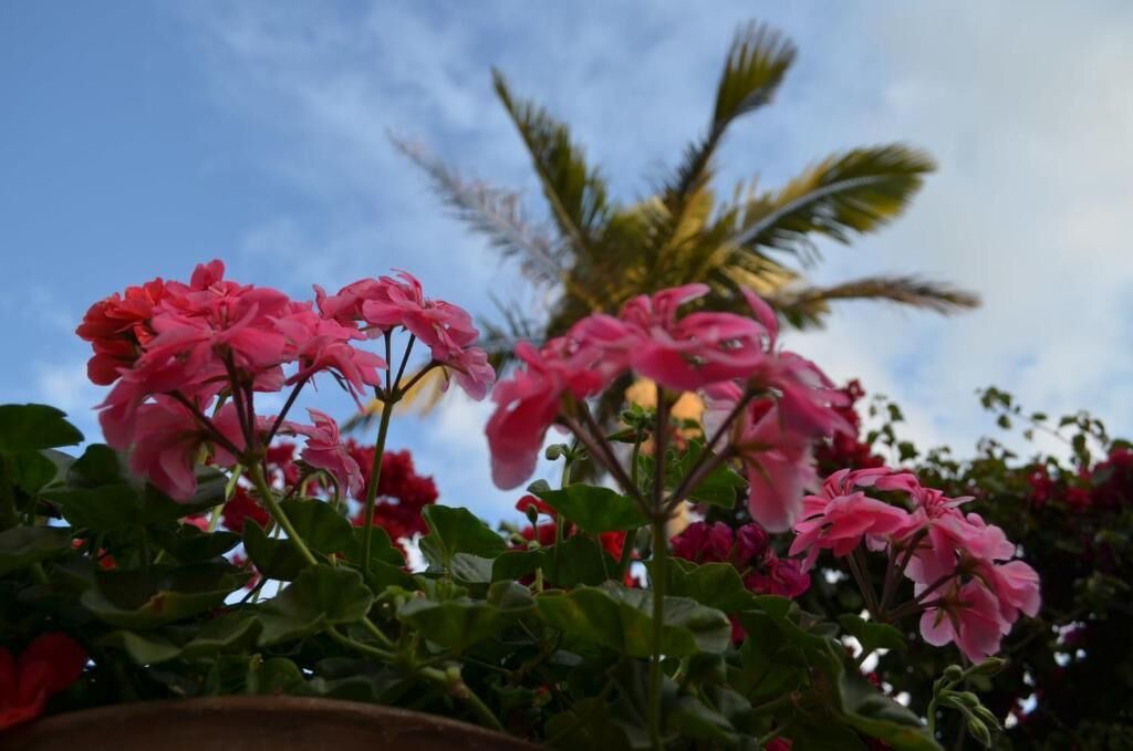 Photo of Outdoor in Zona 13