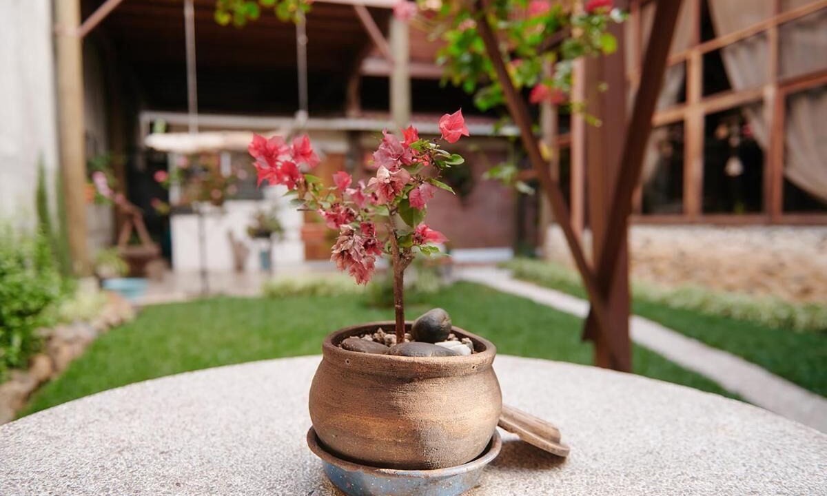 Photo of Outdoor in Zona 13