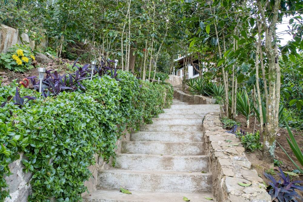 Photo of Outdoor in Tzampetey